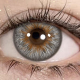 Lente De Contato Anual - Grey Wolf