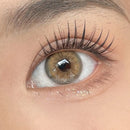 Lente De Contato Anual - Glorious Amber