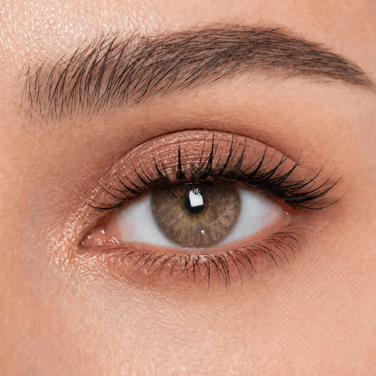 Lente de contato Anual - Vision Brown
