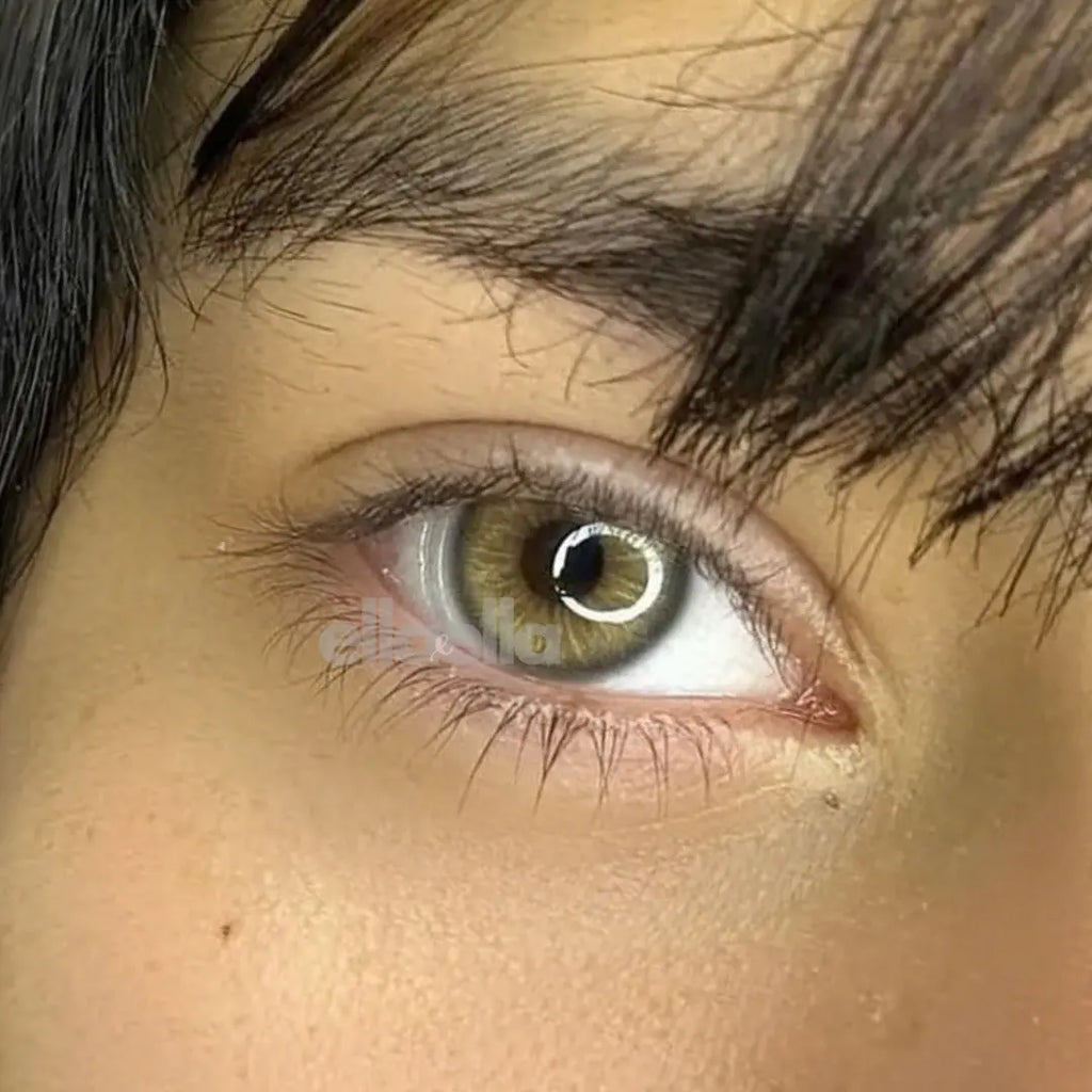 Lente De Contato Anual - Glorious Amber