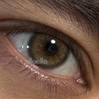 Lente De Contato Anual - Glorious Amber