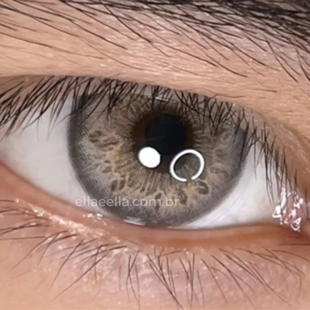 Lente De Contato Anual - Russo Gray