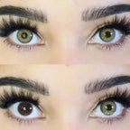 Lente De Contato Anual - Himalaya Brown