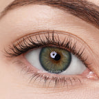 Lente De Contato Anual - Golden Esmerald