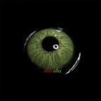 Lente De Contato  Anual - Endorphin